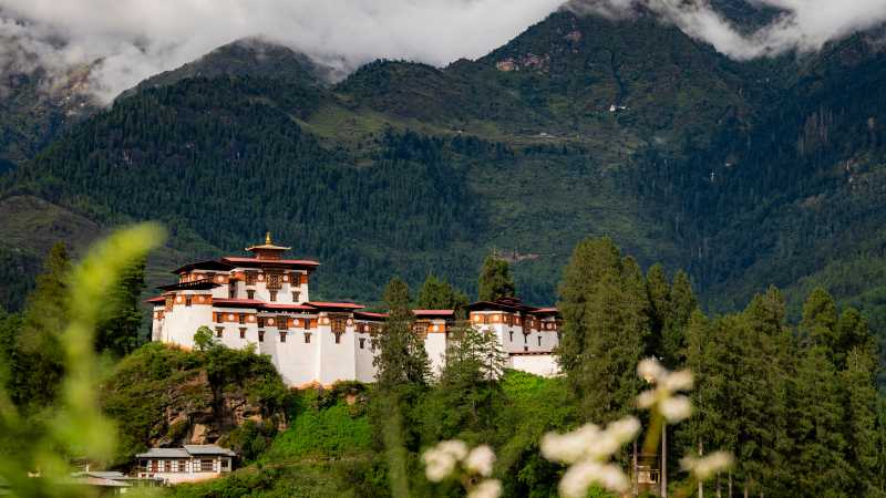 The Sacred Jomolhari Base Camp Trek